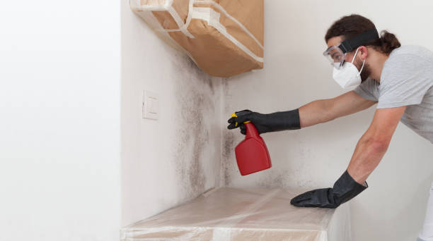 Professional Bathroom Mold Removal technician working in Dimondale, MI
