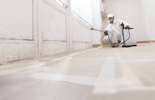 24/7 Emergency Bathroom Mold Removal experts in Dimondale, MI